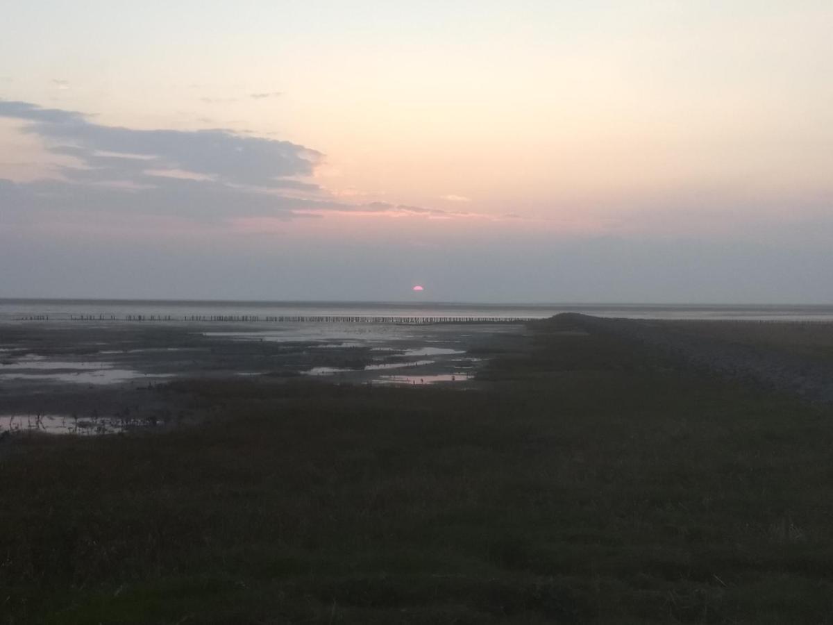 Strandrose Friedrichskoog Kültér fotó